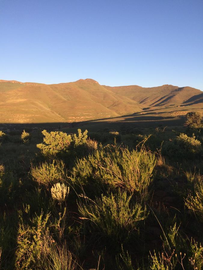 De Ark Mountain Lodge Кларенс Экстерьер фото